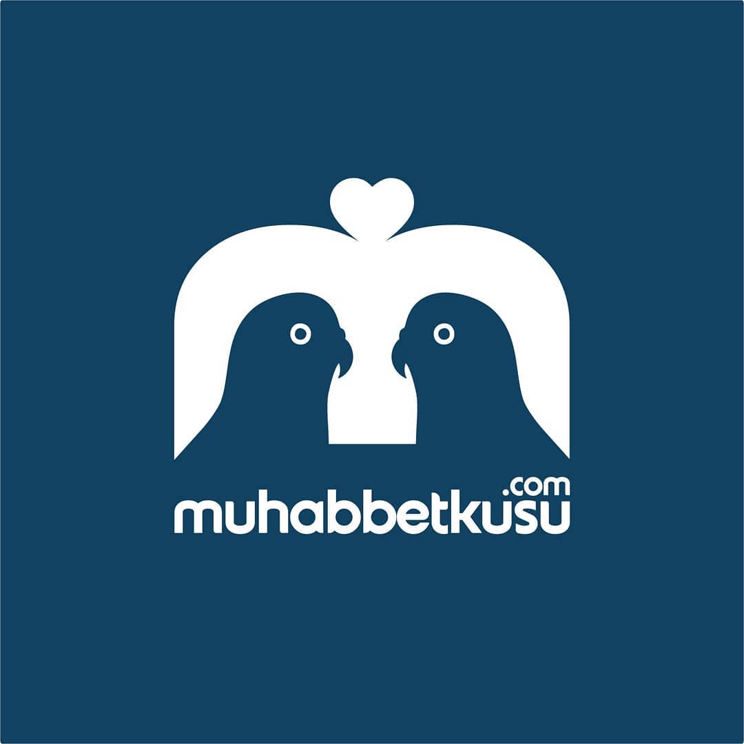 muhabbet kuşu logo tasarım